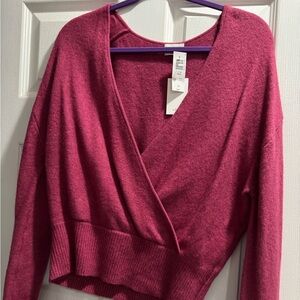 Aritzia Wilfred Dear Sweater